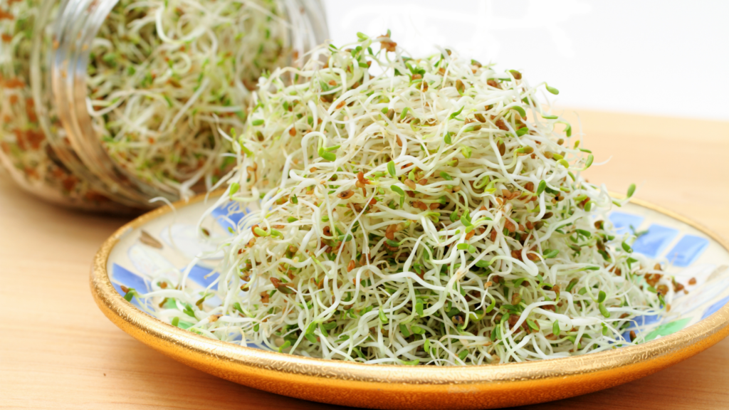 Best Sprout Maker - Alfalfa Sprouts On A Plate