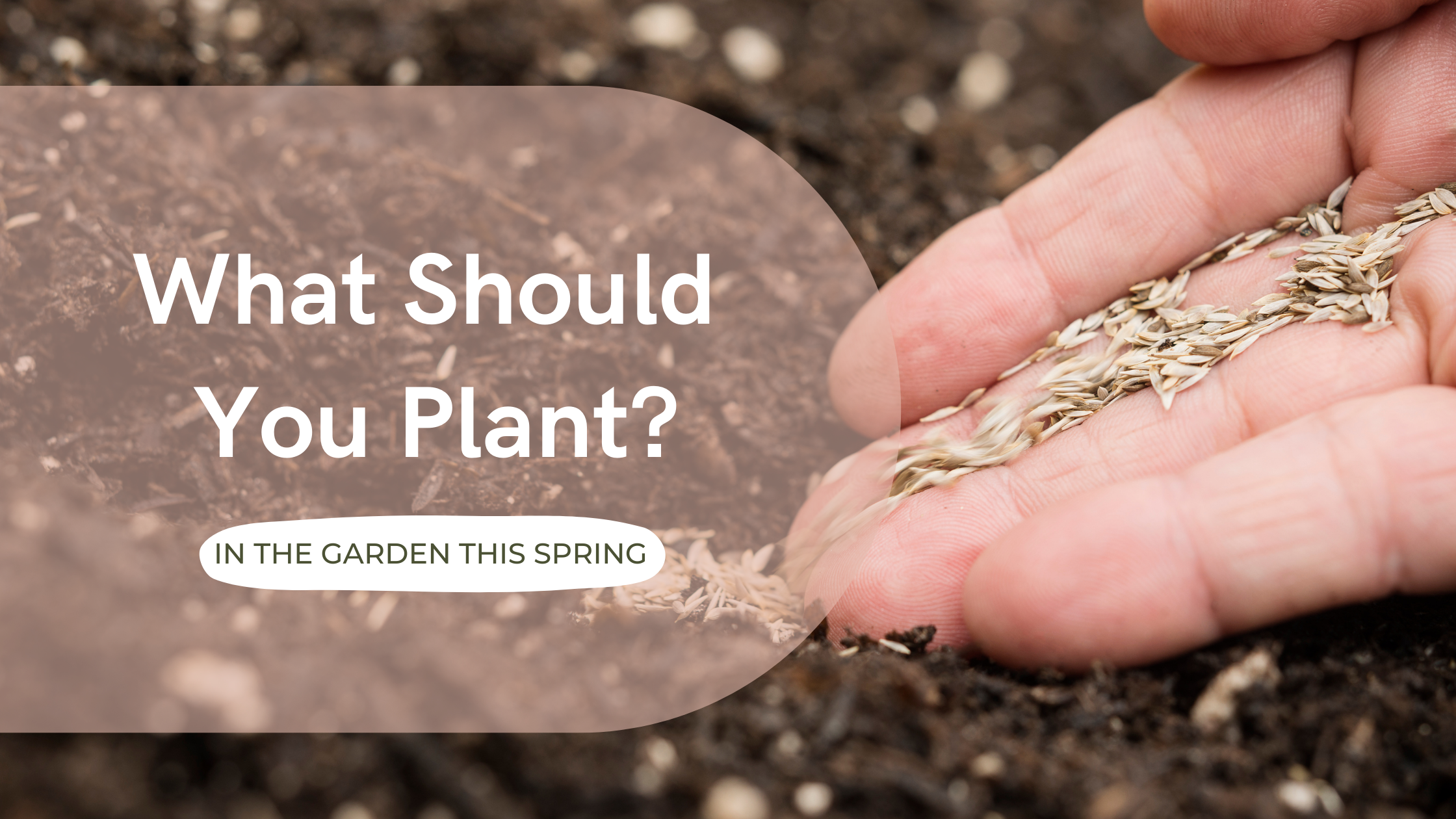 Learn how to choose what plants to grow in your garden this spring!
