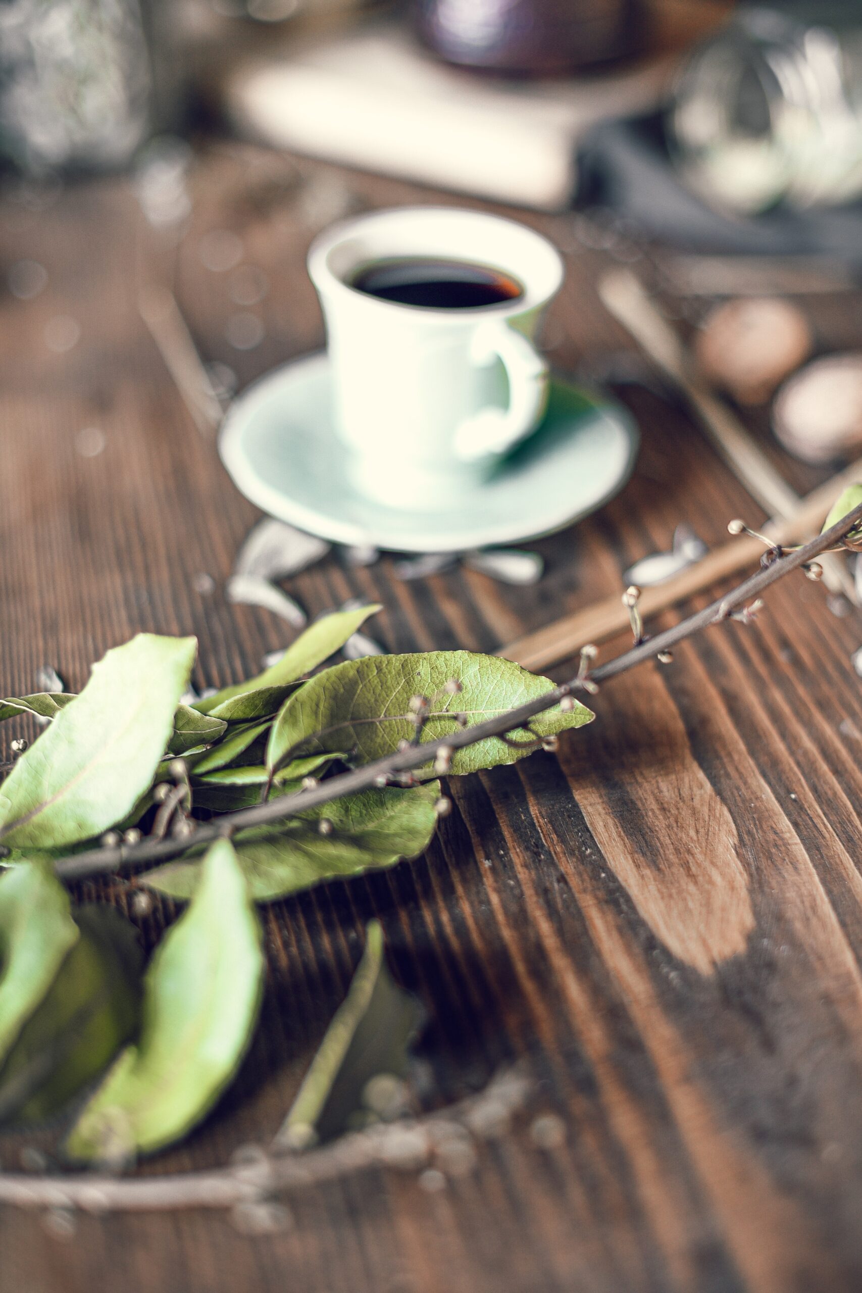 bay leaf on table with coffee