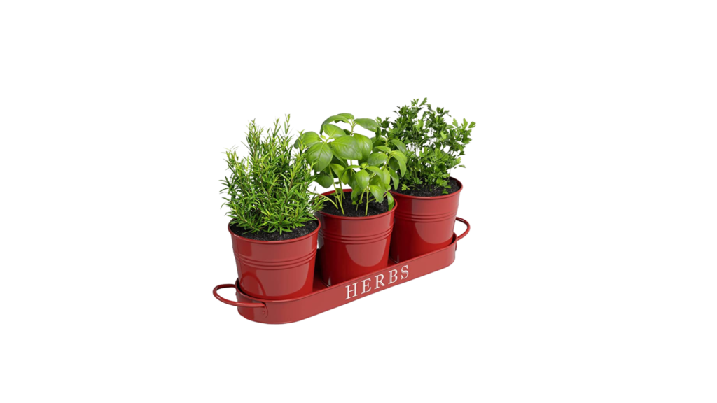 Cute Herb Garden Pots